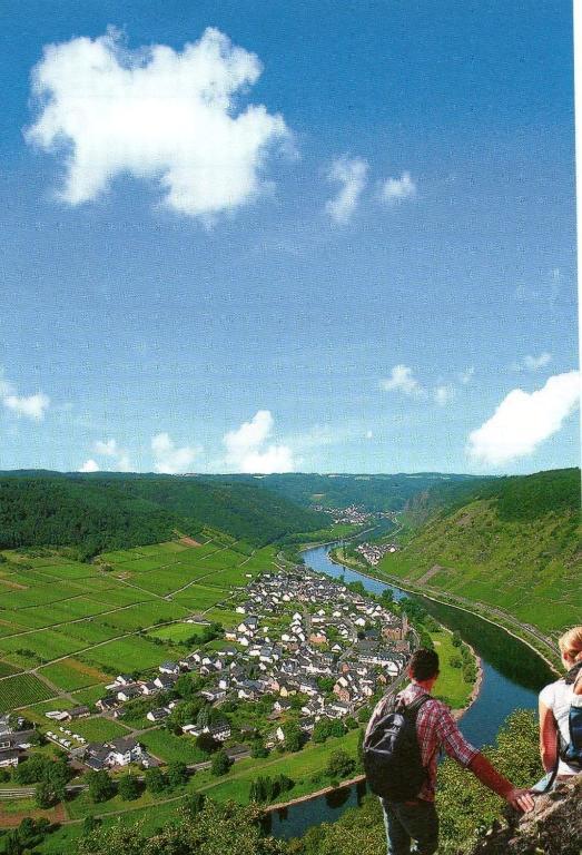 Moselwinzerhaus Apartment บรูทิกก์ ฟังเคิล ภายนอก รูปภาพ